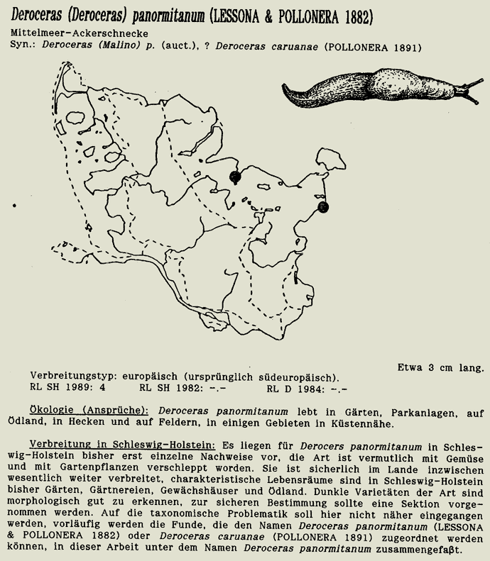 map c LANU-Schleswig-Holstein       drawing  c Projektgruppe Molluskenkartierung 